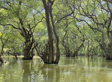 bangladesh/ratargul-swamp-forest/landmark/ratargul-swamp-forest-boat-station