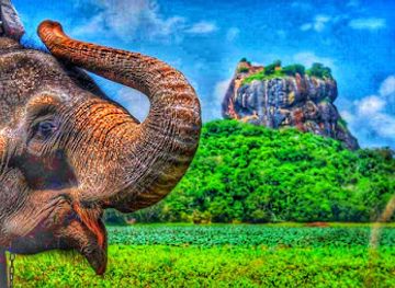 sri-lanka/minneriya-national-park/landmark/best-stop-village-jeep-safari