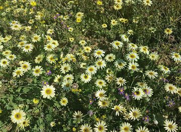south-africa/northern-cape/landmark/groot-tuin-oorlogskloof-nature-reserve