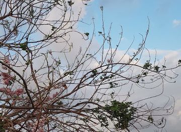 indonesia/maluku/landmark/olilit-lama