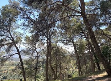 jordan/dibeen-forest/landmark/dibeen-forest-park