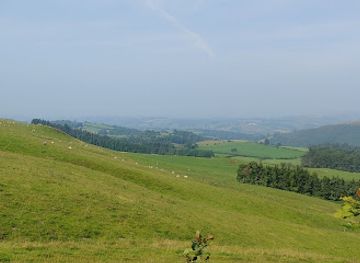 united-kingdom/radnorshire/attraction/fforest-glud-radnor-forest-2