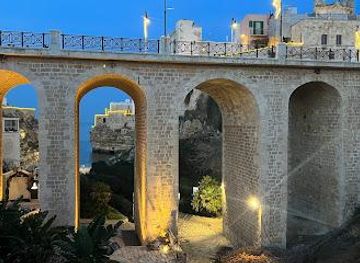 italy/bari/landmark/ponte-borbonico-su-lama-monachile