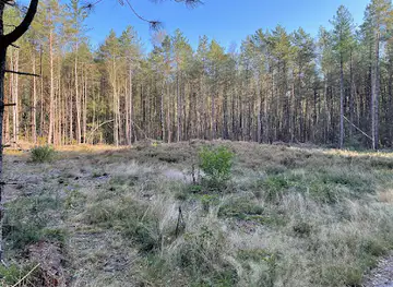 De Zeven Linden - Staatsbosbeheer