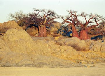 botswana/kalahari-desert/landmark/kubu-island