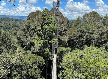 brunei/tutong-district/landmark/ulu-temburong-canopy-walk