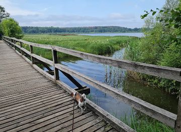germany/westerwald/landmark/dreifelder-weiher
