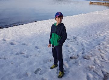 finland/lake-saimaa/landmark/angry-birds-game-park-saimaa