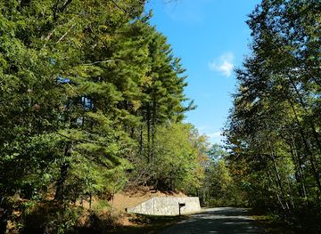 north-carolina/great-smoky-mountains/landmark/bigfoot-statue