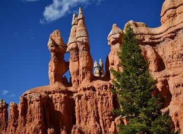 utah/bryce-canyon-city/landmark/peekaboo-loop-hat-shop-and-under-the-rim-trail-trailhead