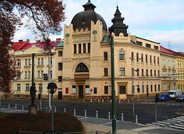 czechia/hradec-kralove/landmark/zizkovy-sady