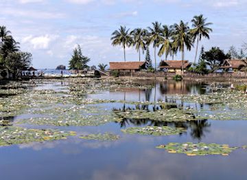 indonesia/bali/landmark/candidasa-lotus-lagoon