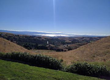 california/milpitas/landmark/big-dog-vineyards