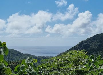 cook-islands/avarua/landmark/raro-safari-tours-concierge-desk