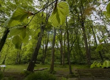 isle-of-man/port-st-mary/landmark/colby-glen