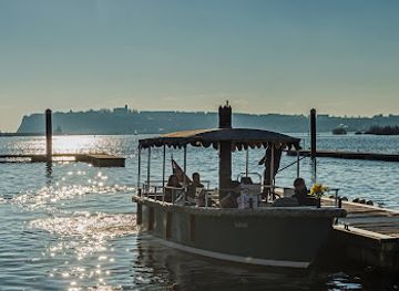 united-kingdom/glamorgan/attraction/the-open-boat-daffodil-2
