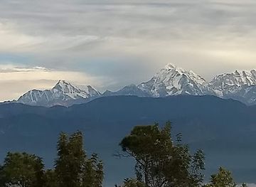 india/himalayas/landmark/kausani-tea-estate
