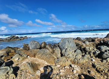 aruba/natural-pool/landmark/aruba-shack-beach