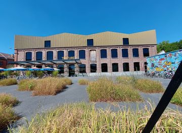 belgium/kortrijk/landmark/texture-flax-river-lys-museum