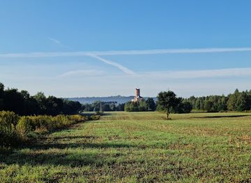poland/tarnow/landmark/lasek-lipie