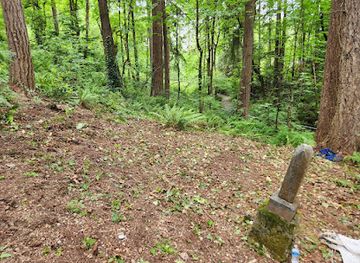 washington/federal-way/landmark/newcastle-cemetery