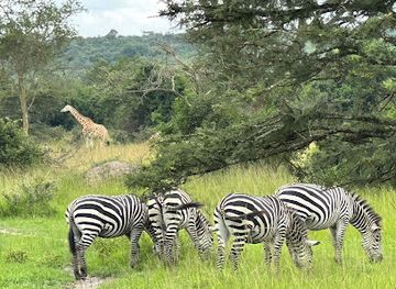 Lake Mburo National Park
