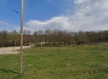 romania/transylvania/landmark/inima