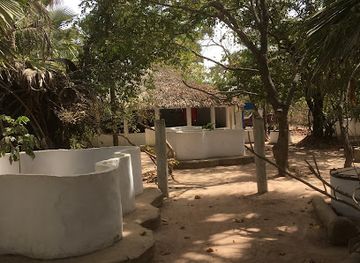 the-gambia/lamin/landmark/the-gambian-reptiles-farm