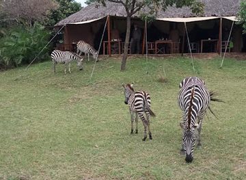 kenya/aberdare-national-park/landmark/equator-marker