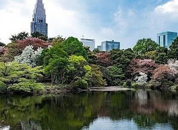 japan/tokyo/shinjuku/landmark/ninja-trick-house-in-tokyo