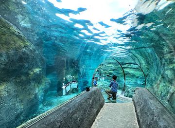 japan/shima/landmark/asahiyama-zoo