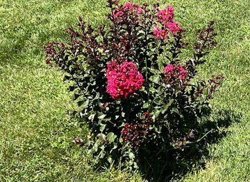 west-virginia/eastern-panhandle/landmark/moorefield-historic-district