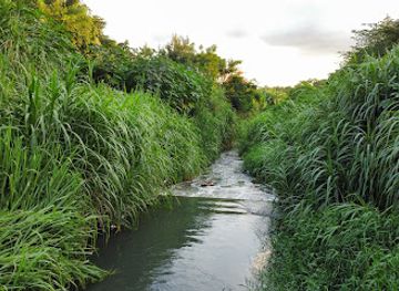 dominican-republic/santiago/gurabo/landmark/desembocadura-arroyo-gurabo