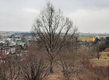 poland/bydgoszcz/fordon/landmark/dab-napoleona