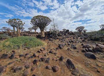 south-africa/northern-cape/landmark/quiver-tree-forest