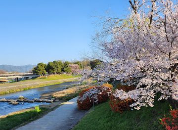japan/kyoto-countryside/landmark/kamogawa-delta