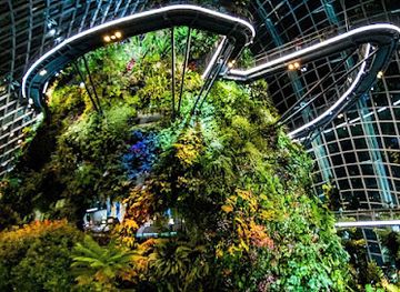 singapore/east-coast-park/landmark/cloud-forest