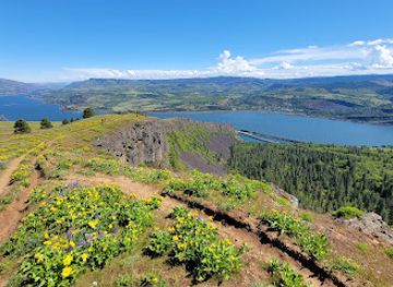 washington/columbia-river-gorge/landmark/coyote-wall-trailhead