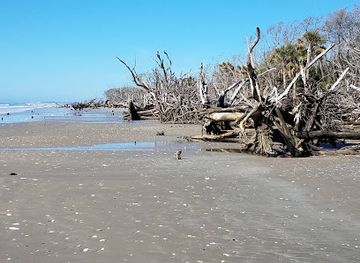 south-carolina/sea-islands/landmark/pockoy-island