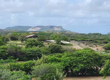 curacao/groot-santa-martha/landmark/curacao-ostrich-farm