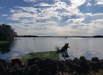 florida/big-bend/landmark/lake-george-state-forest