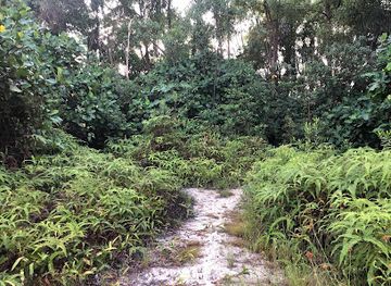 malaysia/johor-bahru/bukit-indah/landmark/tapak-warisan-bangunan-sejarah-sikijang-nusajaya