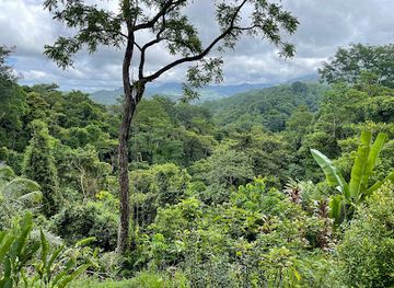 costa-rica/manuel-antonio/landmark/villa-vanilla-spice-tour-and-shop