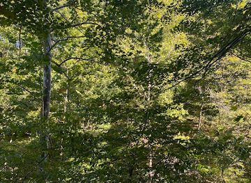 indiana/central-indiana/landmark/historical-marker-usa-center-of-population