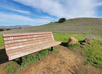 california/walnut-creek/landmark/south-facing-bench