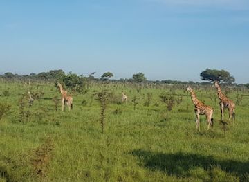 uganda/queen-elizabeth-national-park/landmark/pian-upe-game-reserve