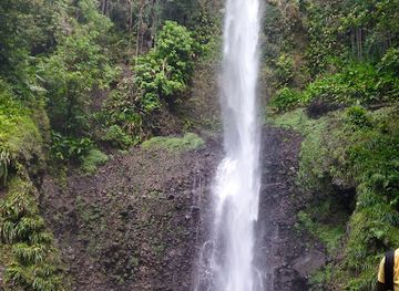dominica/mero-beach/landmark/middleham-falls-dominica