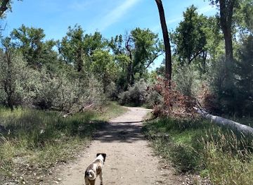 south-dakota/great-plains/landmark/laframboise-island-state-nature-area