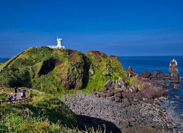 south-korea/jeju-island/landmark/seopjikoji