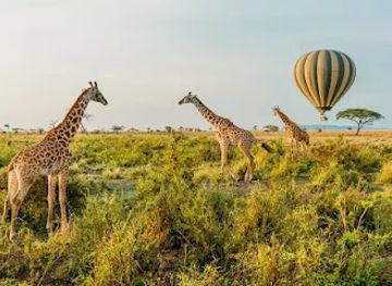 tanzania/tarangire-national-park/landmark/serengeti-national-prak-safaris